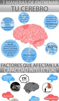 alimentos bons para memoria e concentração