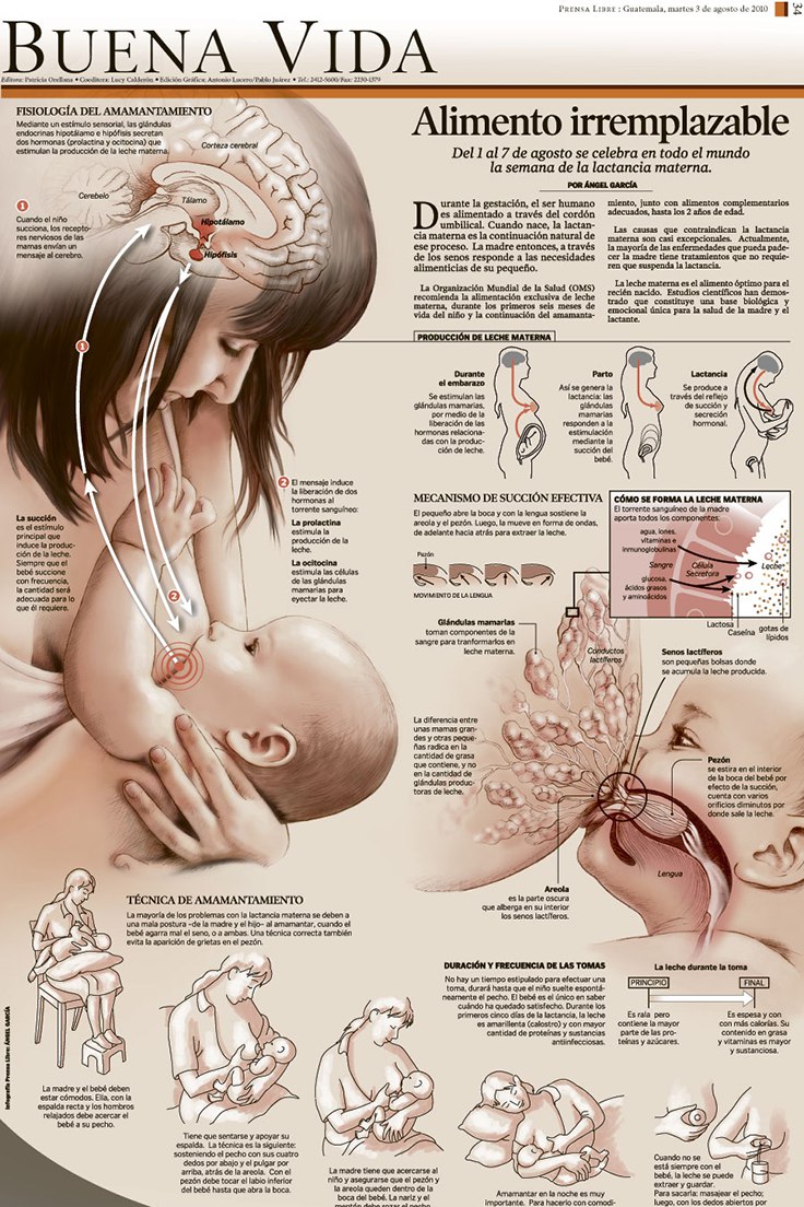 Los indicios básicos atopicheskogo de la dermatitis