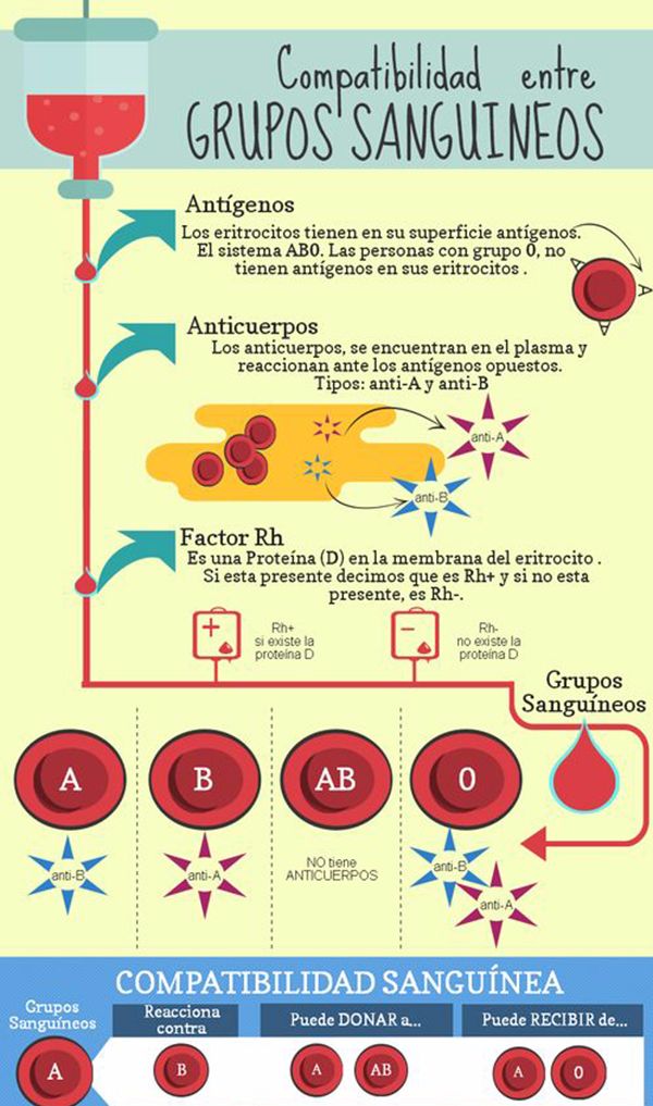 Es cuánto por día beber el jengibre para el adelgazamiento