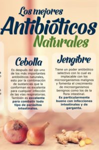 antibióticos naturales