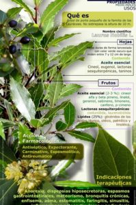 infografía sobre el laurel