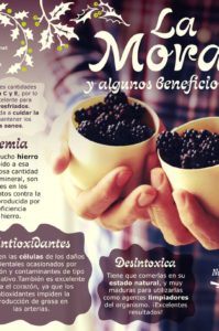 beneficios de la mora