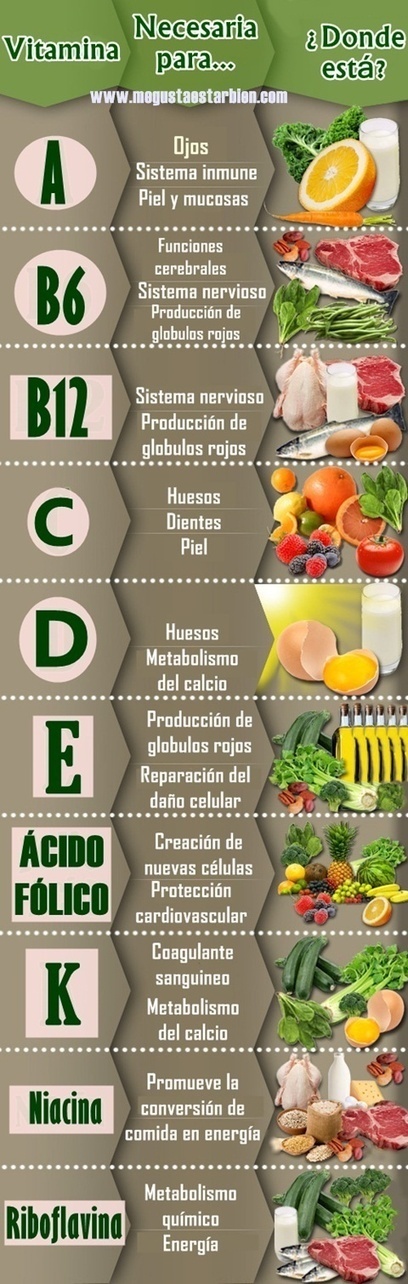 infografía sobre las vitaminas