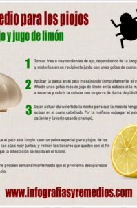 remedio casero contra los piojos