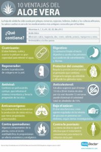 infografía aloe vera