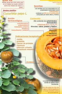 beneficios de la calabaza