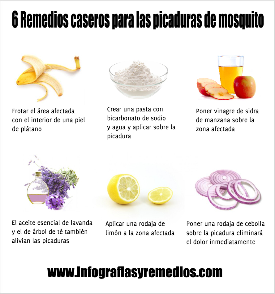 Los Mejores Remedios Caseros Para Picaduras De Insectos Viviendosanos