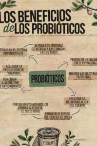 beneficios de los probióticos