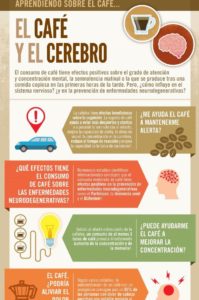 efectos del café sobre el cerebro