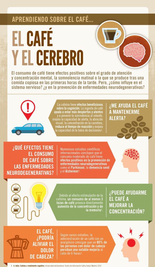 ¿Que efectos tiene el café sobre el cerebro? Infografías