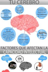 entrenar el cerebro