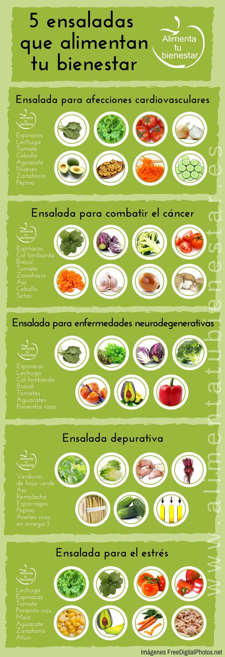 beneficios de los diferentes tipos de ensaladas