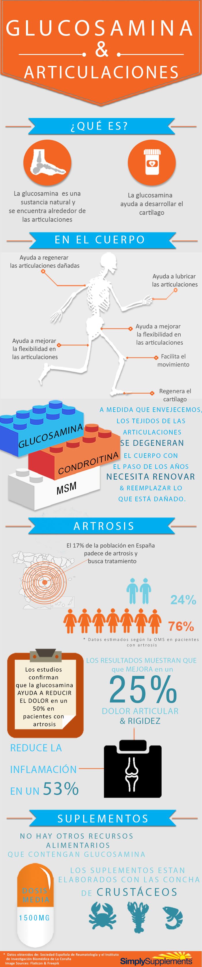 infografía glucosamina y condroitina