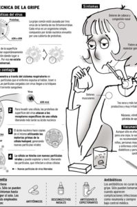 infografía sobre la gripe