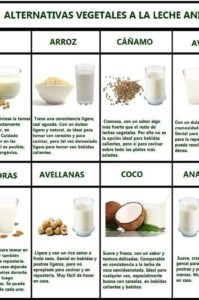 alternativas vegetales a la leche animal