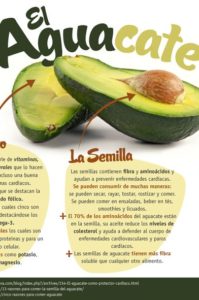 beneficios del aguacate