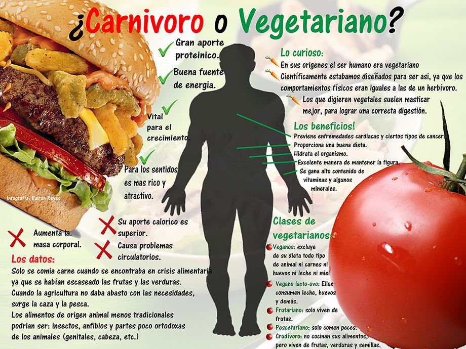 Resultado de imagen para infografia vegetariano