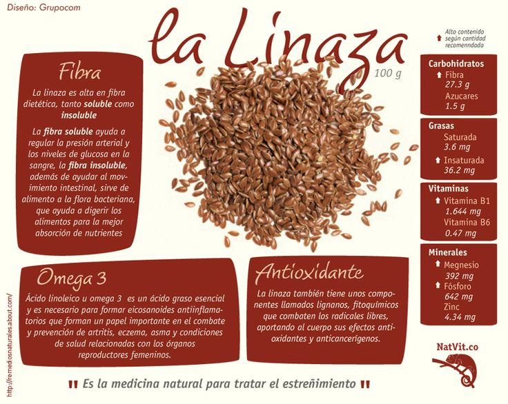 infografía linaza