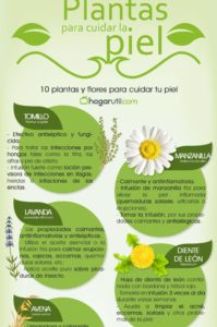 plantas para cuidar la piel