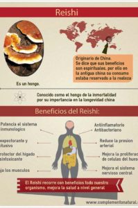 infografía reishi