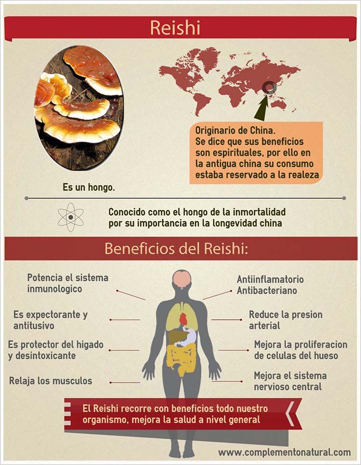 infografía reishi