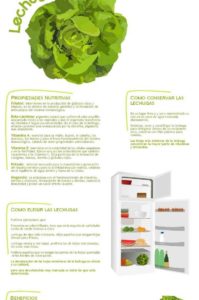 infografía lechuga