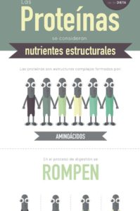 infografía proteinas