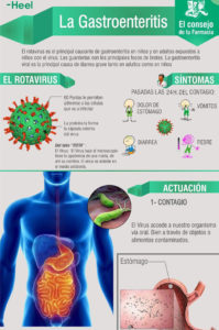 infografía gastroenteritis