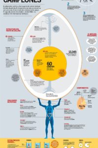 infografía sobre el huevo