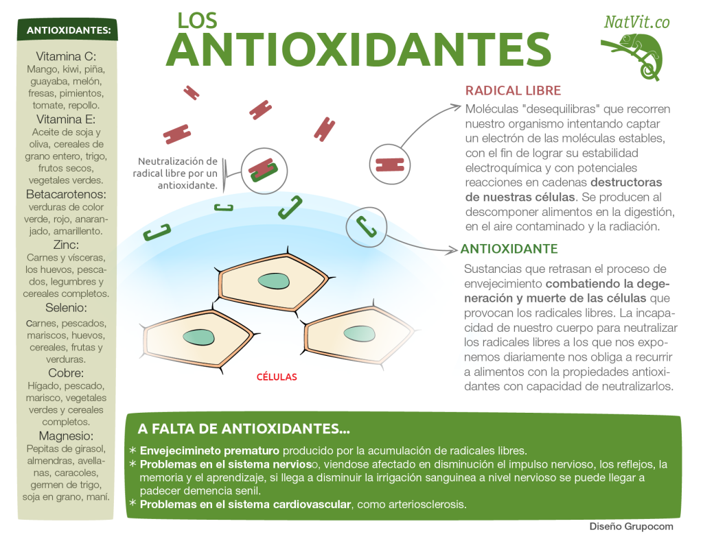 los antioxidantes