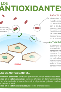 los antioxidantes