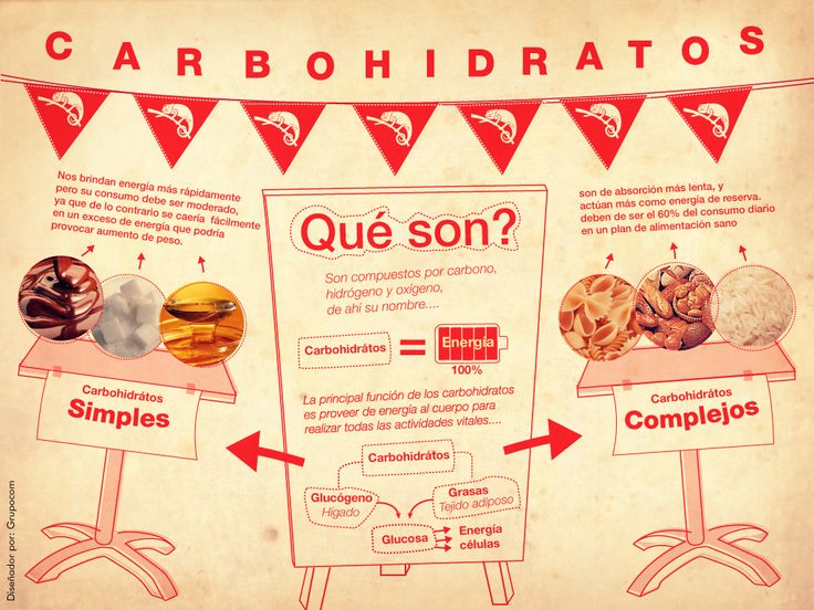 los carbohidratos