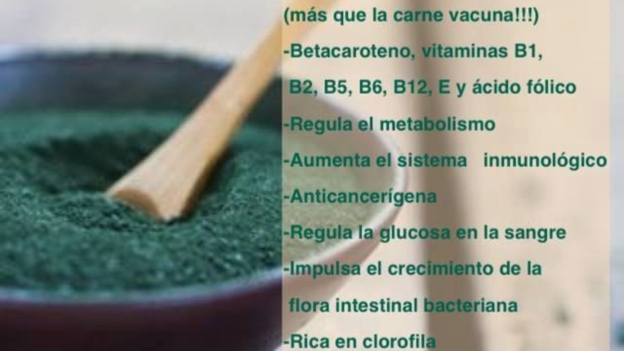 Los Beneficios Del Alga Espirulina Para Adelgazar Infografías Y Remedios