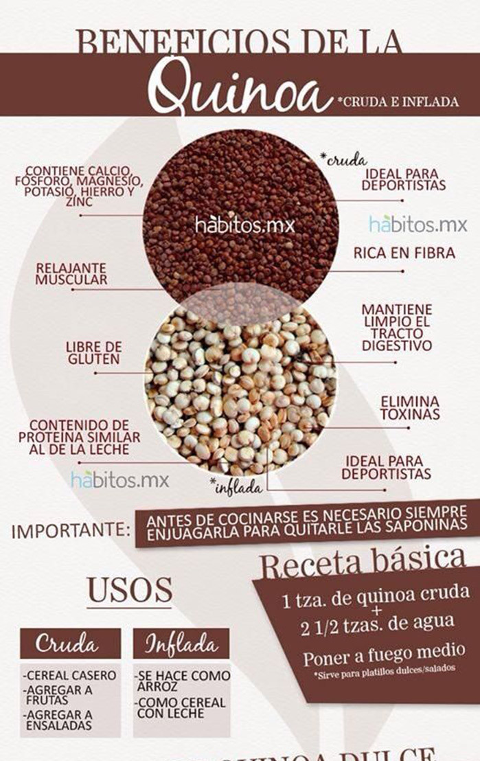 Para que sirve la quinoa y cuales son sus beneficios Infografías y
