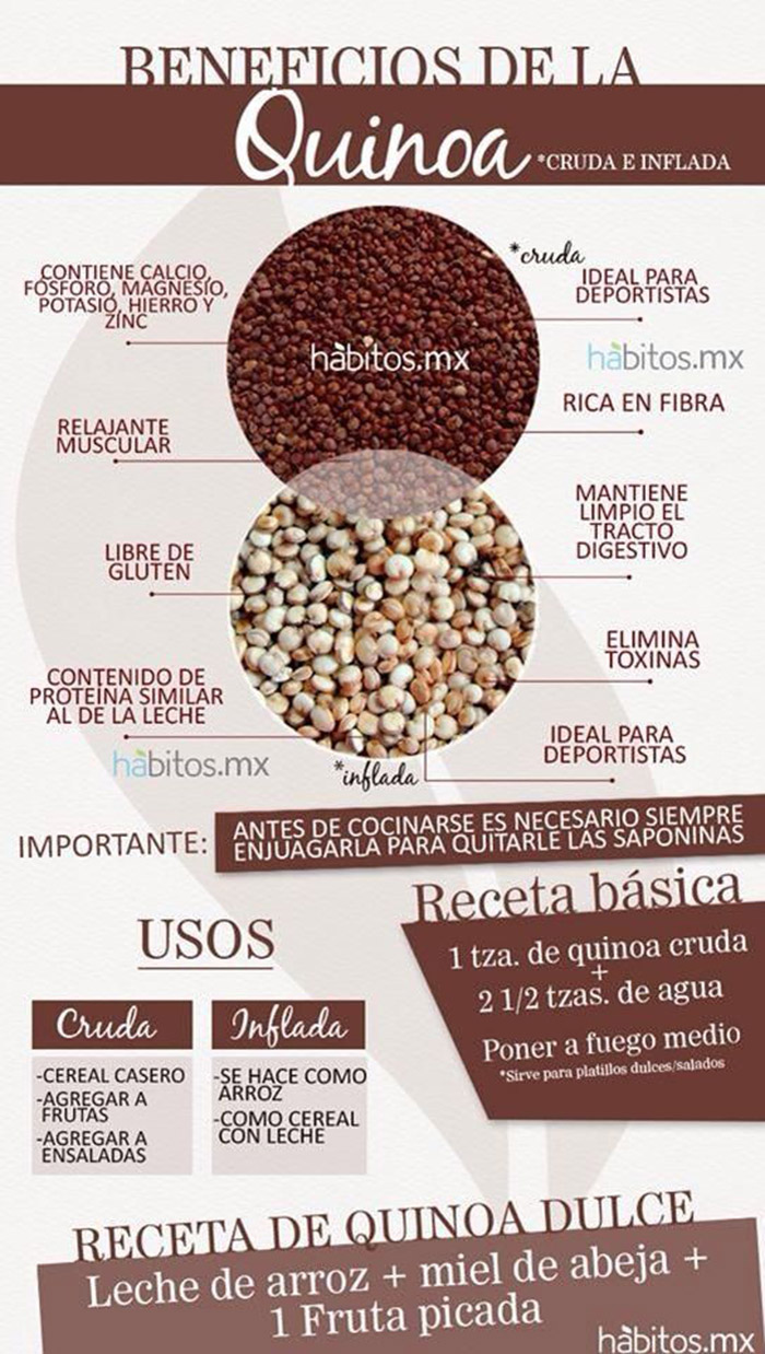 Para que sirve la quinoa y cuales son sus beneficios | Infografías y