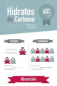 la función de los hidratos de carbono