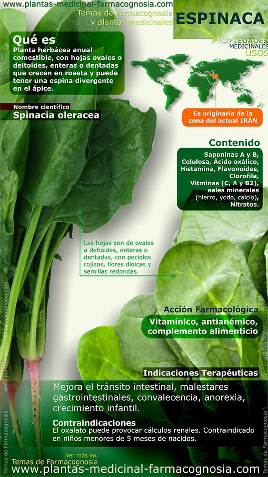 infografía sobre la espinaca