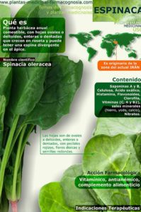 infografía sobre la espinaca