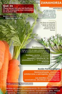 infografía zanahoria