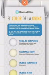 el color de la orina