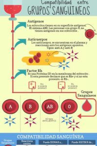 grupos sanguíneos