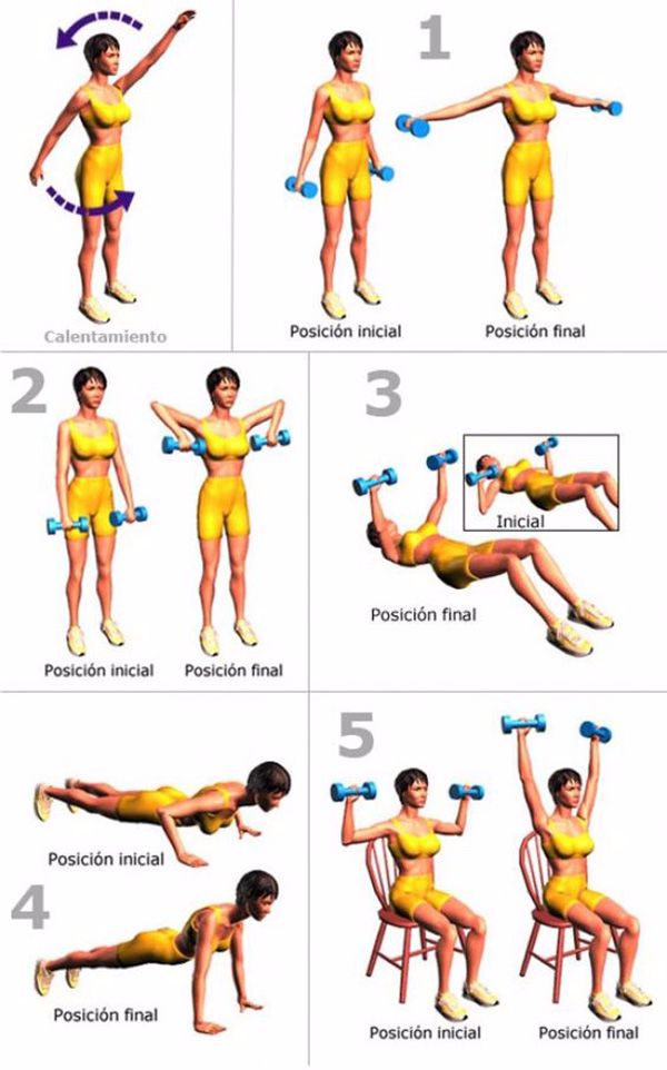 ejercicios para adelgazar brazos en mujeres