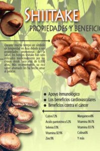 setas shiitake beneficios