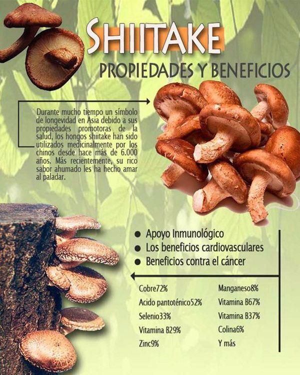 setas shiitake beneficios