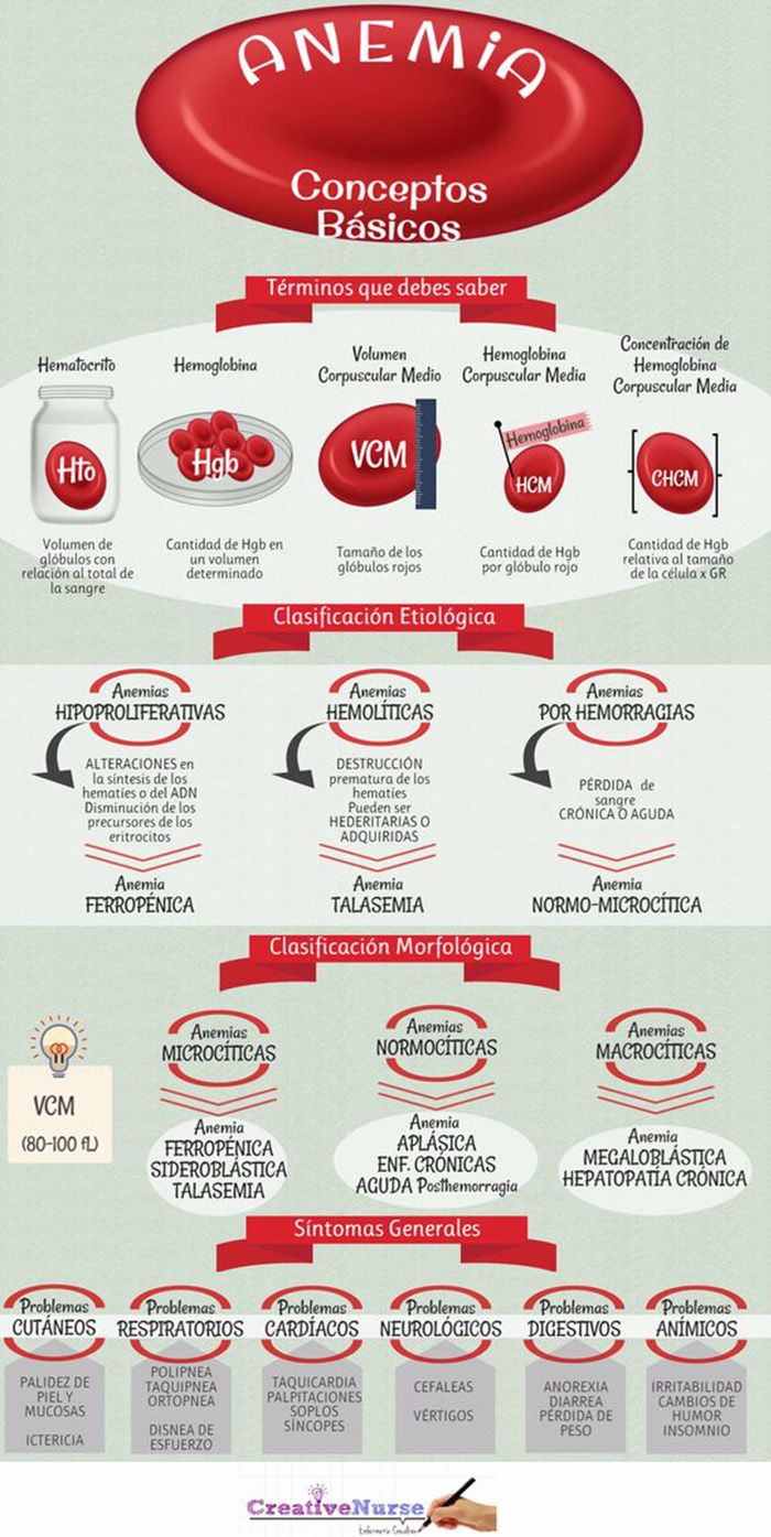 infografía anemia