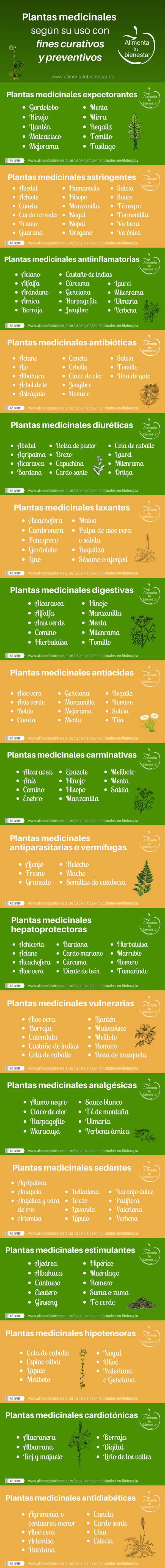 plantas medicinales curativas