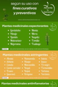 plantas medicinales curativas