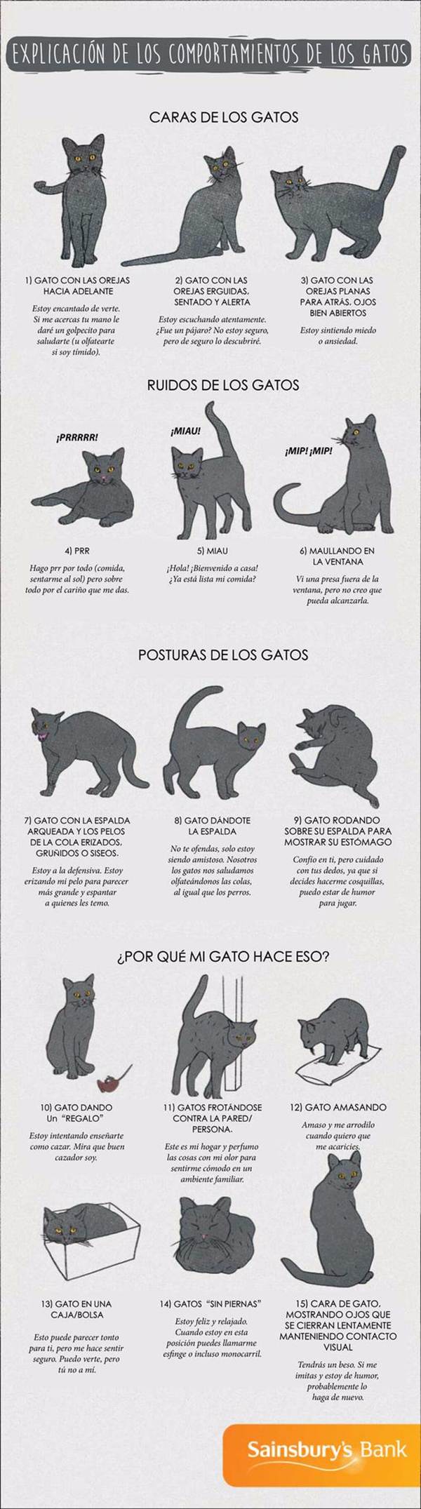 el lenguaje de los gatos en infografía