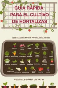 guía para cultivar huerto en casa