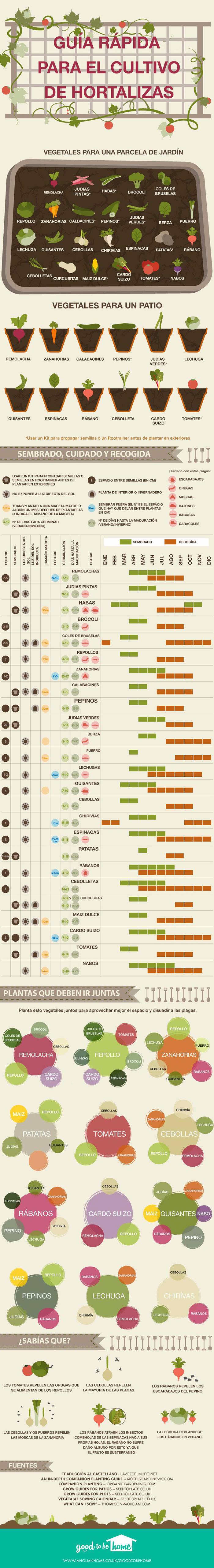 guía para cultivar huerto en casa